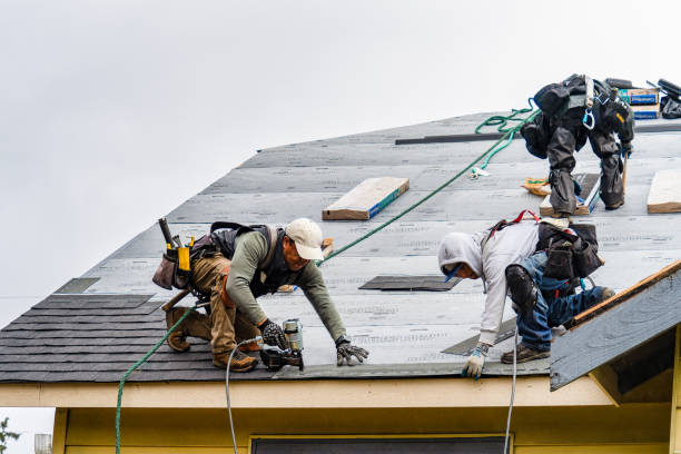 Professional Gutter Installation technician working in Newton, TX